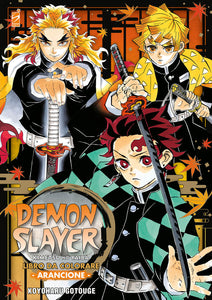 DEMON SLAYER LIBRO 3 - ARANCIONE